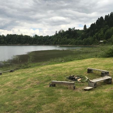 Domki Zlota Rybka Nad Jeziorem Solinskim Zawóz エクステリア 写真
