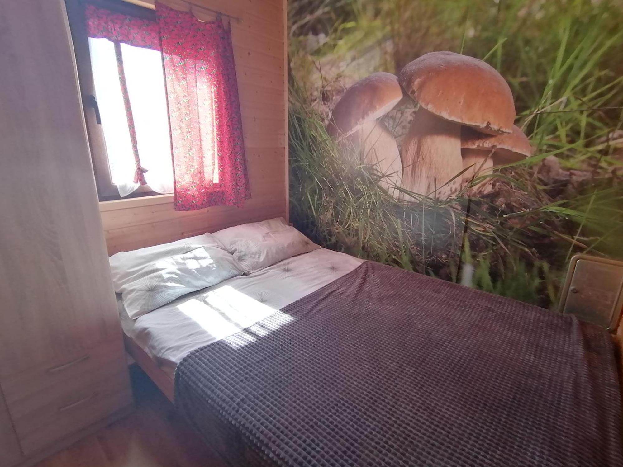 Domki Zlota Rybka Nad Jeziorem Solinskim Zawóz エクステリア 写真