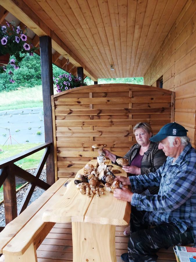 Domki Zlota Rybka Nad Jeziorem Solinskim Zawóz エクステリア 写真