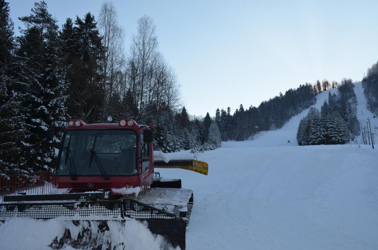 Domki Zlota Rybka Nad Jeziorem Solinskim Zawóz エクステリア 写真
